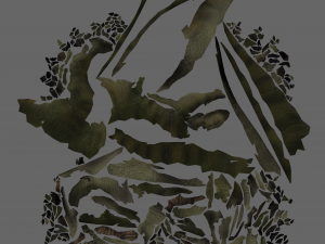 t-rex rigged Modelo 3D