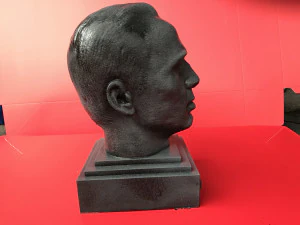 nicolas cage sculpture 3d print ready 3D Print Model
