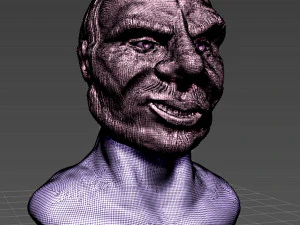 노인 흉상 3D 모델