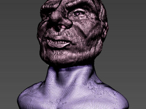 old man bust 3D Model