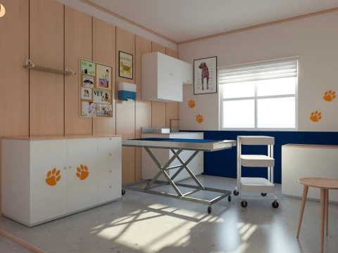 Veterinary Clinic 3D Model