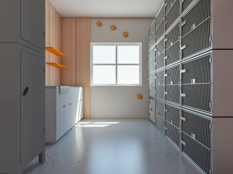 Veterinary Clinic 3D Model
