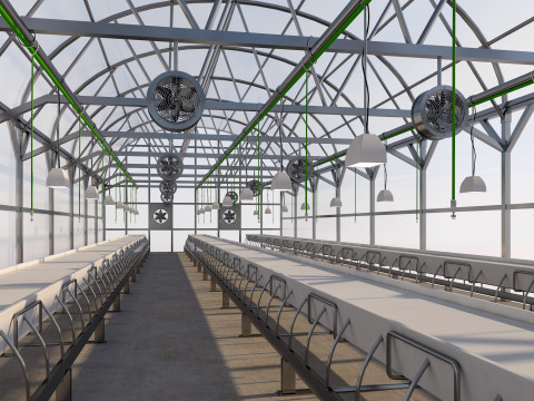 Greenhouse 3D Model