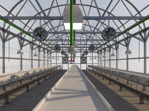 Greenhouse Model 3D