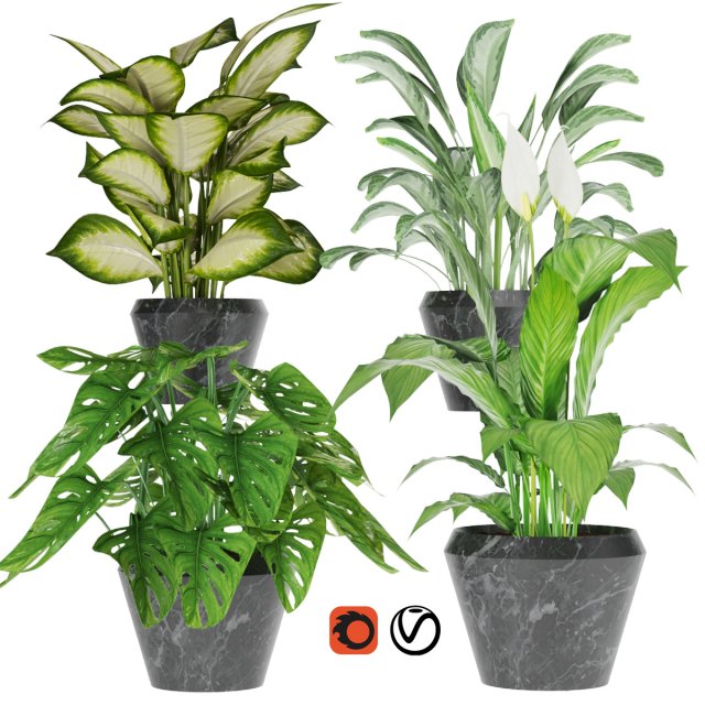 collection plant one 3D 模型 .c4d .max .obj .3ds .fbx .stl .blend 