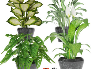 collection plant one 3D 모델