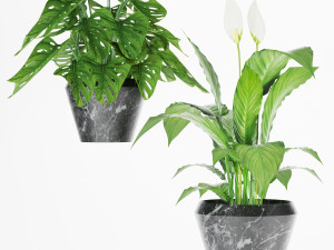 collection plant one 3D 模型