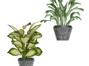 collection plant one 3D 模型