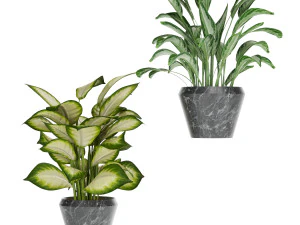 collection plant one 3D Model