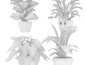 collection plant one 3D 模型