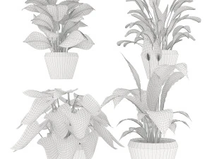 collection plant one 3D Model