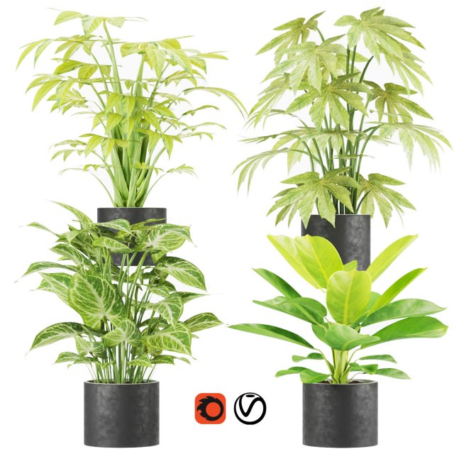 collection plant vol 2 Modelo 3D .c4d .max .obj .3ds .fbx .stl .blend 