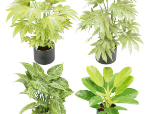 collection plant vol 2 Modelo 3D