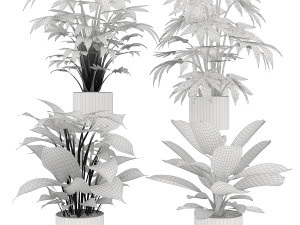 collection plant vol 2 Modelo 3D
