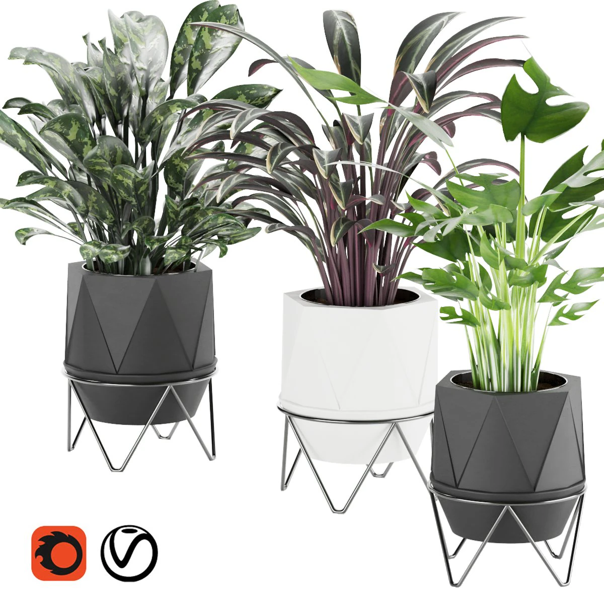 collection plant vol 3 3D Model .c4d .max .obj .3ds .fbx .stl .blend