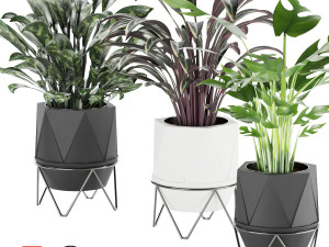 collection plant vol 3 3D 모델