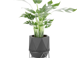 collection plant vol 3 3Dモデル