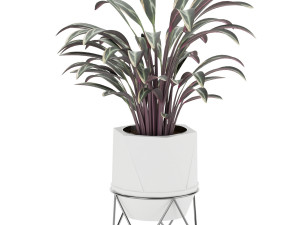collection plant vol 3 3Dモデル