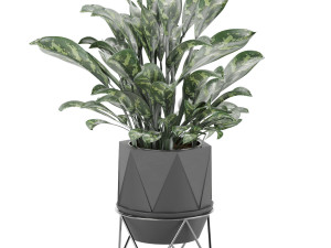 collection plant vol 3 3Dモデル