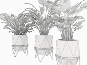 collection plant vol 3 3Dモデル