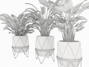 collection plant vol 3 3D Model