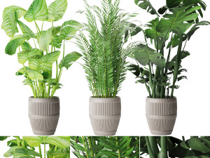 collection plant vol 4 3D 모델