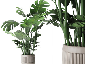 collection plant vol 4 3D Model