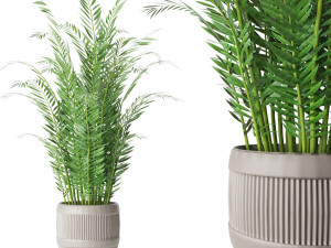 collection plant vol 4 3D Model