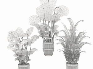 collection plant vol 4 3D Model