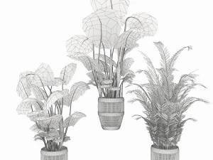 collection plant vol 4 3D Model