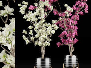 magnolia vol 1 3D 모델