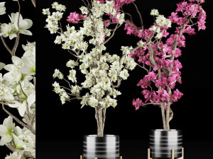 magnolia vol 1 3D Model