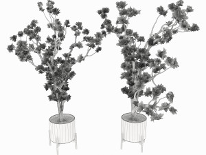 magnolia vol 1 3D Model