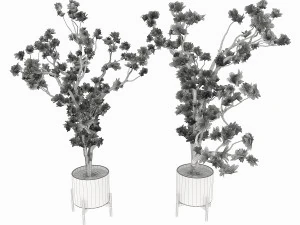 magnolia vol 1 3D Model