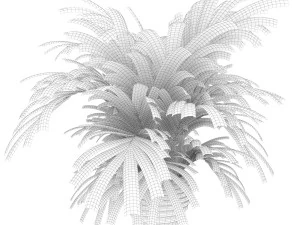 plant 004 kentia palm 3D Model