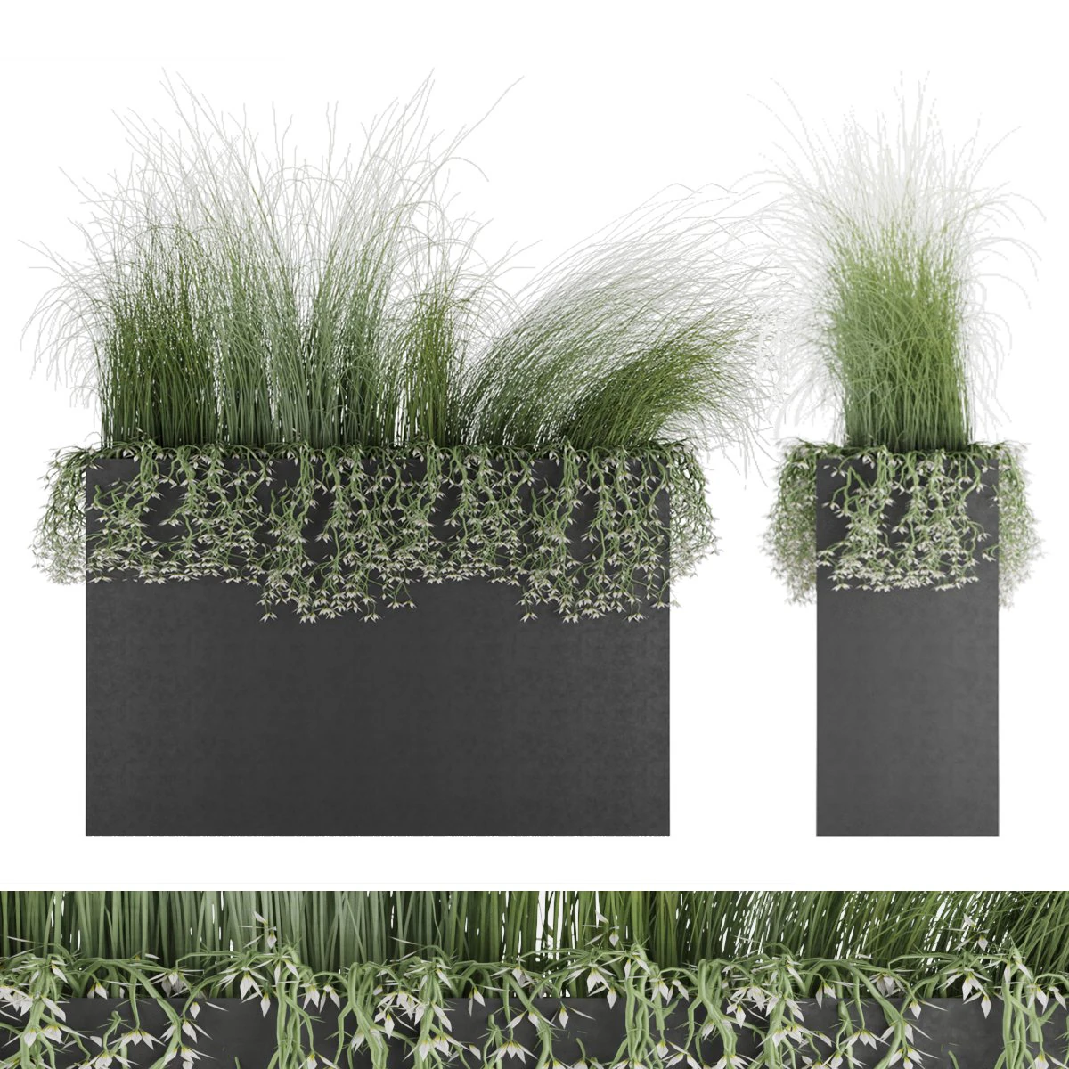 plant 008 3D Model .c4d .max .obj .3ds .fbx .stl .blend