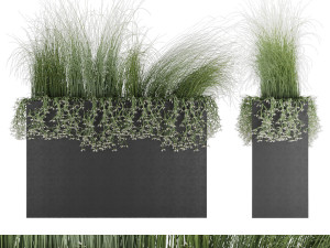 plant 008 3D 모델