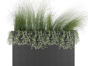 plant 008 3D 모델