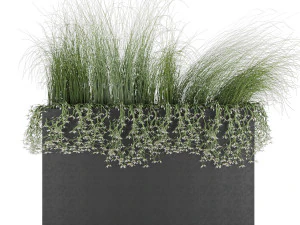 plant 008 3D Model