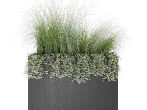 plant 008 3D 모델