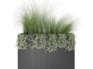 plant 008 3D Model