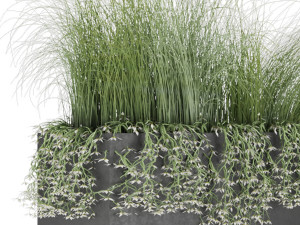 plant 008 3D 모델