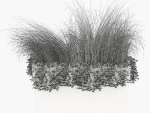 plant 008 3D 모델