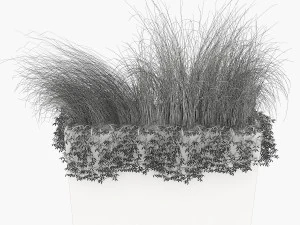 plant 008 3D Model