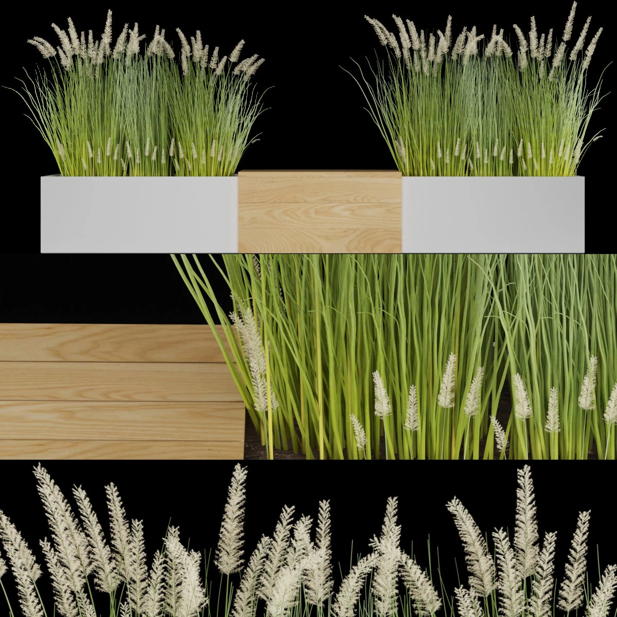 plant 010 3D Model .c4d .max .obj .3ds .fbx .stl .blend