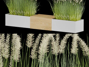 plant 010 3D Model