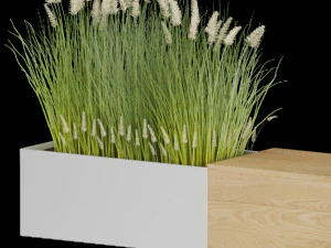plant 010 3D Model