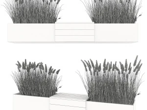 plant 010 3D Model