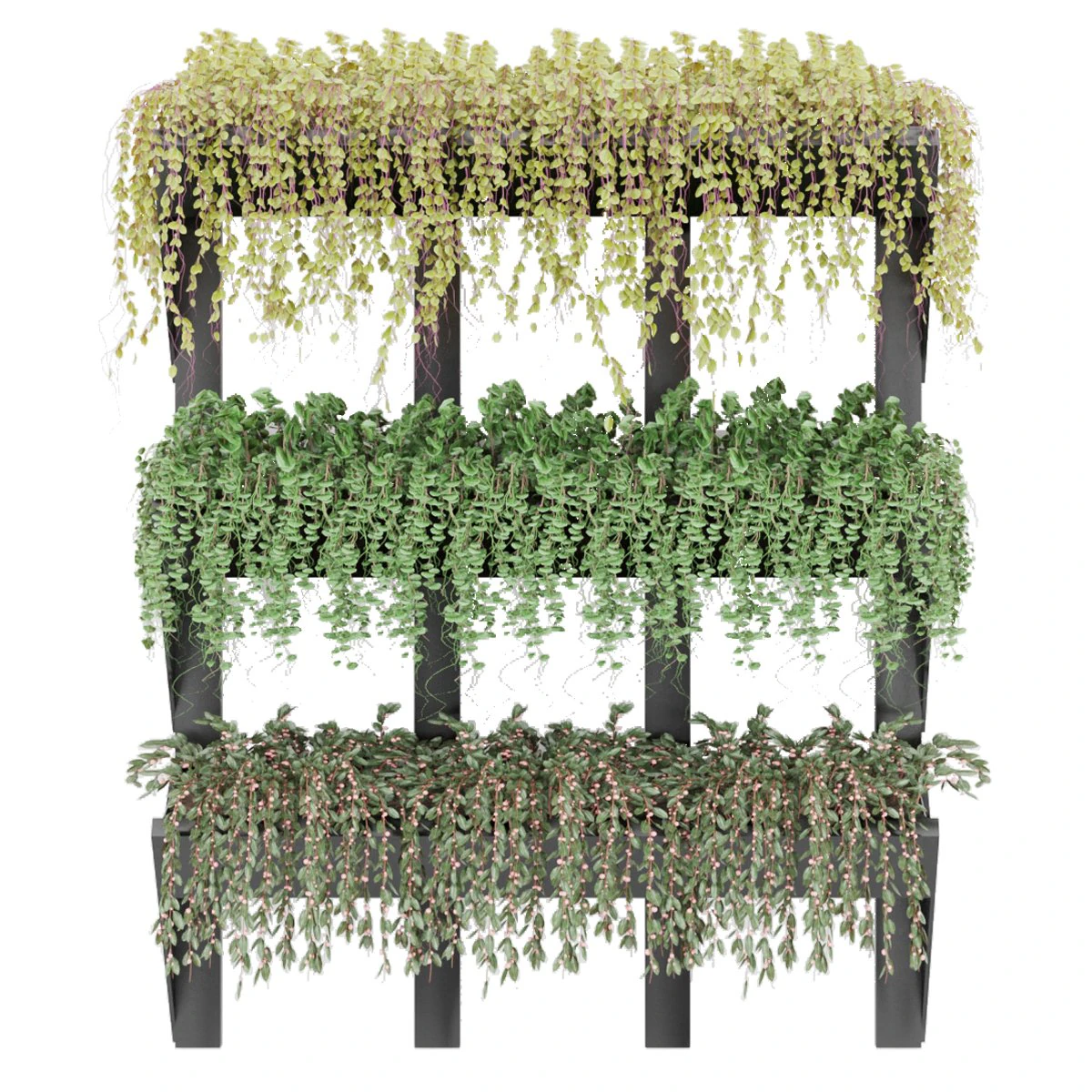 collection plant vol 8 3D Model .c4d .max .obj .3ds .fbx .stl .blend 