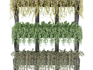 collection plant vol 8 Modello 3D